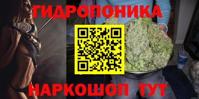 spice Изобильный