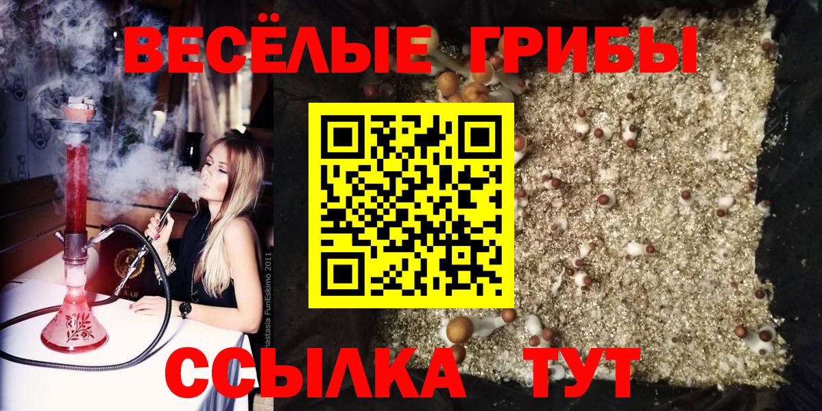 Галлюциногенные грибы прущие грибы  Вход с VPN  Людиново 