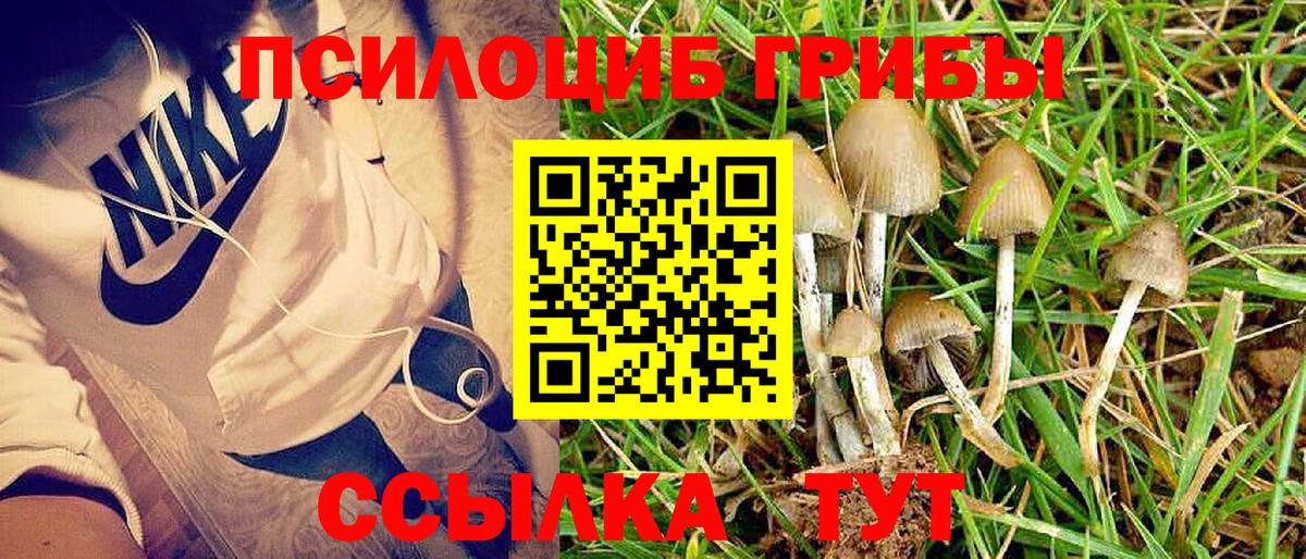 Галлюциногенные грибы MAGIC MUSHROOMS Людиново